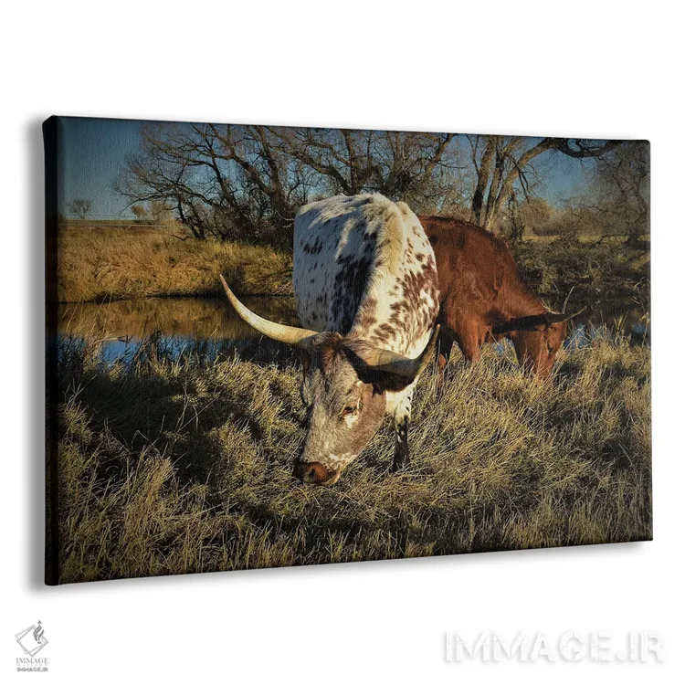 تابلو لانگهورنهای ساحل رودخانه اثر کریستوفر توماس - نمای پرسپکتیو محصول