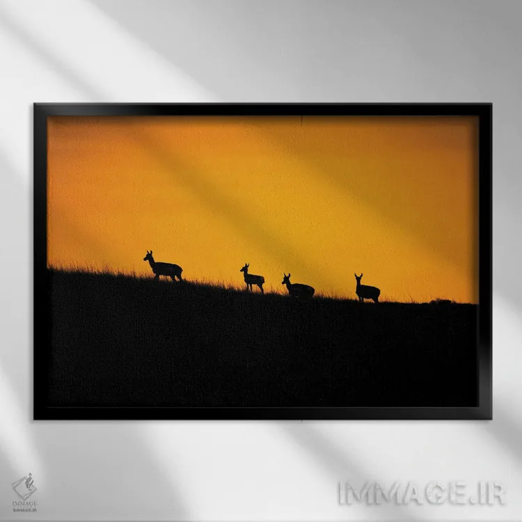 تابلو غروب آهوی شاخچنگالی اثر کریستوفر توماس - نمای قابدار مشکی