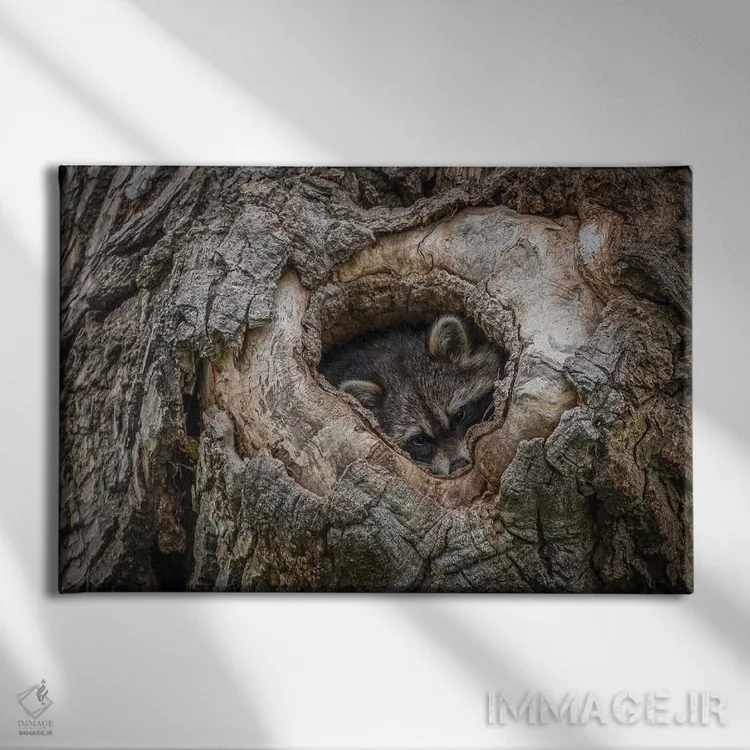 تابلو آماده برای شبهنگام اثر کریستوفر توماس - نمای روبهرو روی دیوار