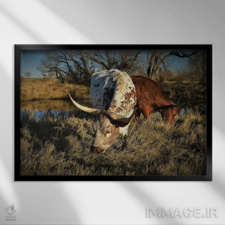 تابلو لانگهورنهای ساحل رودخانه اثر کریستوفر توماس - نمای قابدار مشکی