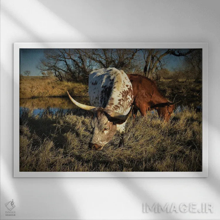 تابلو لانگهورنهای ساحل رودخانه اثر کریستوفر توماس - نمای قابدار سفید