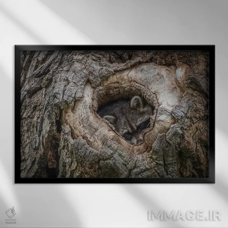 تابلو آماده برای شبهنگام اثر کریستوفر توماس - نمای قابدار مشکی