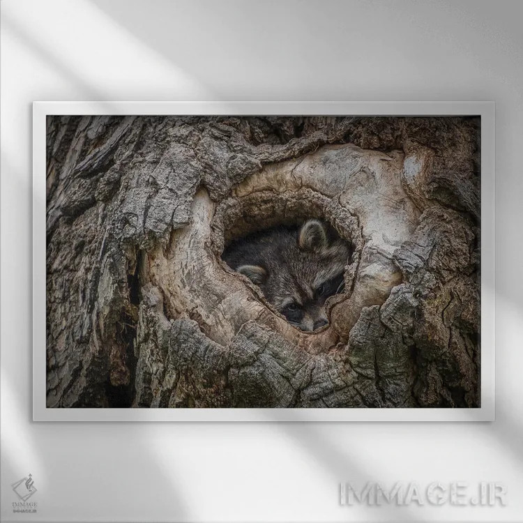 تابلو آماده برای شبهنگام اثر کریستوفر توماس - نمای قابدار سفید