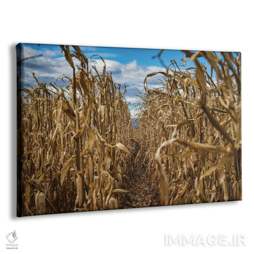 تابلو پایان فصل اثر کریستوفر توماس - نمای پرسپکتیو محصول