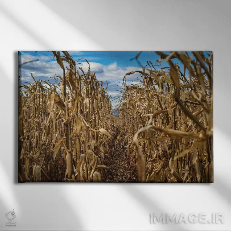 تابلو پایان فصل اثر کریستوفر توماس - نمای روبهرو روی دیوار