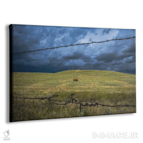 تابلو تنهایی وایومینگ جنوبی اثر کریستوفر توماس - نمای پرسپکتیو محصول