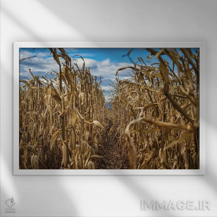 تابلو پایان فصل اثر کریستوفر توماس - نمای قابدار سفید