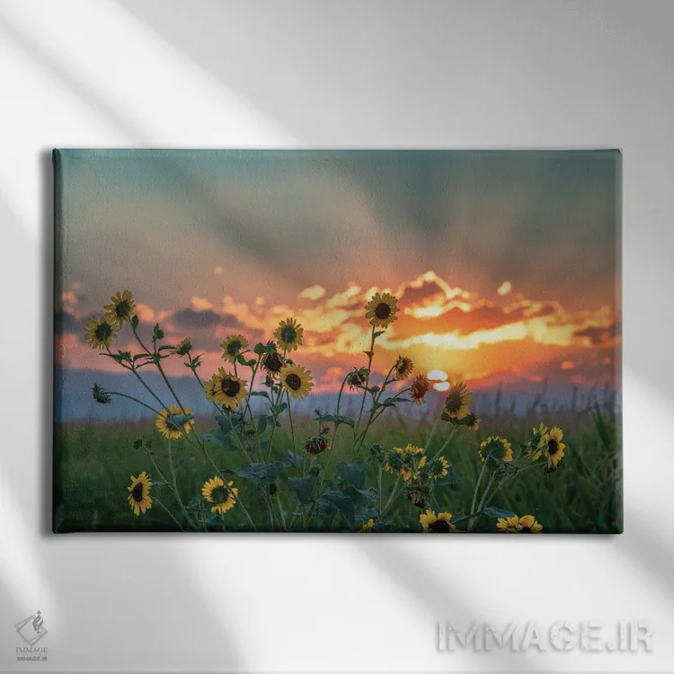 تابلو غروب زمین کشاورزی اثر کریستوفر توماس - نمای روبهرو روی دیوار