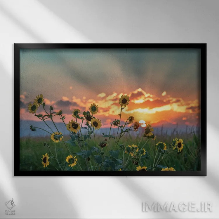 تابلو غروب زمین کشاورزی اثر کریستوفر توماس - نمای قابدار مشکی