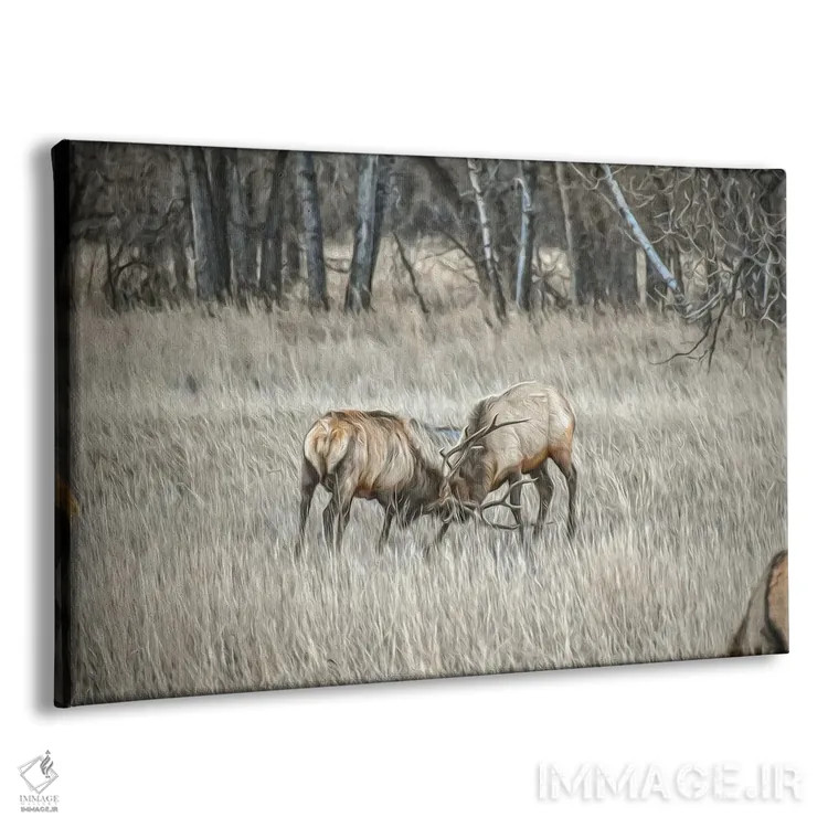 تابلو درهمتنیده اثر کریستوفر توماس - نمای پرسپکتیو محصول