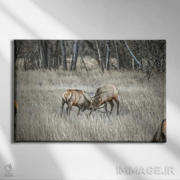 تابلو درهمتنیده اثر کریستوفر توماس - نمای روبهرو روی دیوار