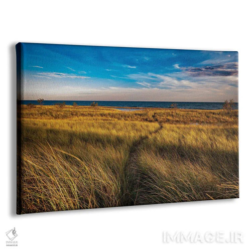 تابلو ساحل هیورن اثر کریستوفر توماس - نمای پرسپکتیو محصول