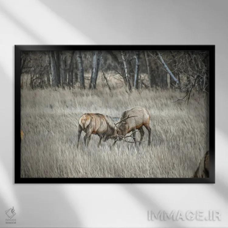 تابلو درهمتنیده اثر کریستوفر توماس - نمای قابدار مشکی