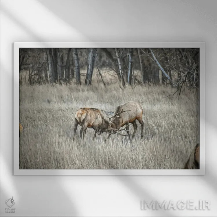 تابلو درهمتنیده اثر کریستوفر توماس - نمای قابدار سفید