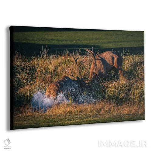 تابلو نبرد سلطنتی اثر کریستوفر توماس - نمای پرسپکتیو محصول