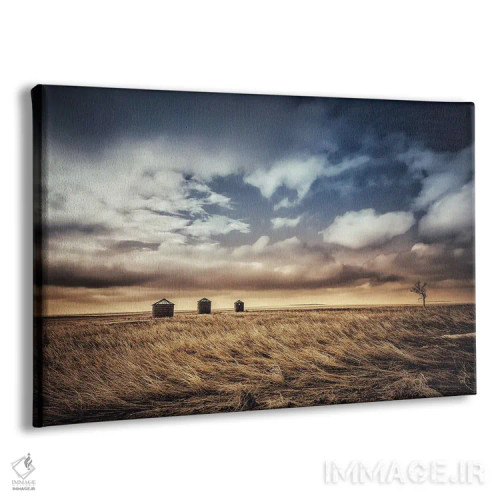 تابلو دشتهای بادخورده اثر کریستوفر توماس - نمای پرسپکتیو محصول