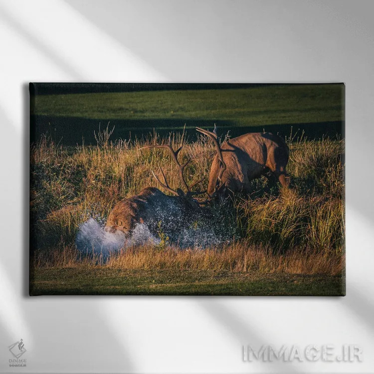 تابلو نبرد سلطنتی اثر کریستوفر توماس - نمای روبهرو روی دیوار