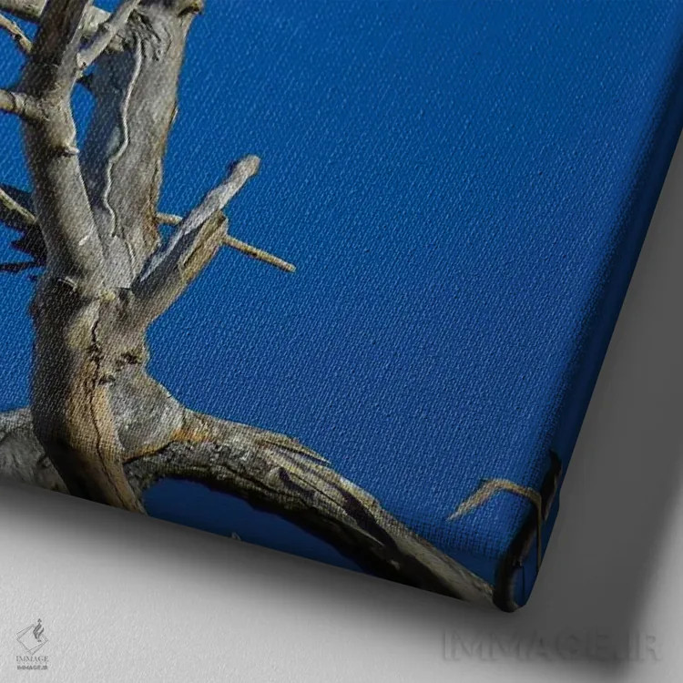 تابلو فریادهای عقاب سرسفید از آسمان اثر کریستوفر توماس - نمای نزدیک بافت بوم