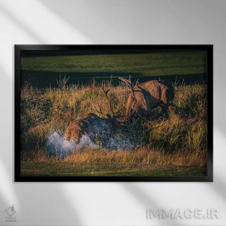 تابلو نبرد سلطنتی اثر کریستوفر توماس - نمای قابدار مشکی