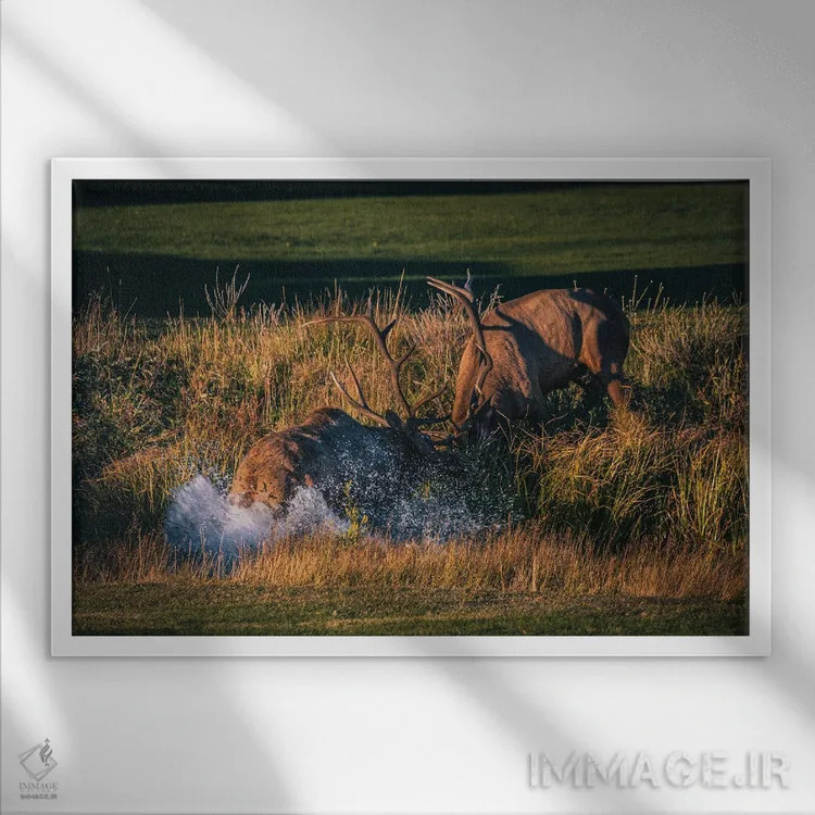 تابلو نبرد سلطنتی اثر کریستوفر توماس - نمای قابدار سفید