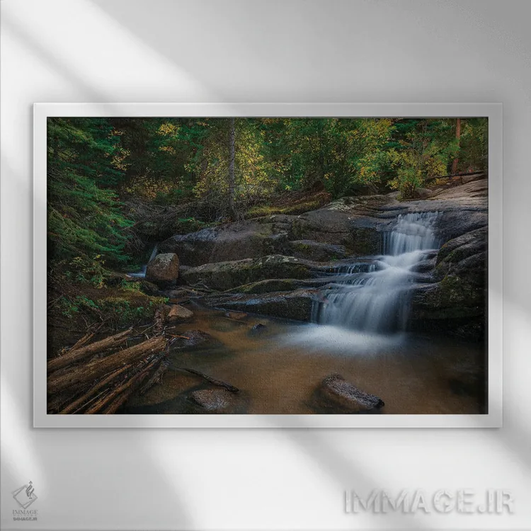 تابلو آبشار پنهان جنگل اثر کریستوفر توماس - نمای قابدار سفید