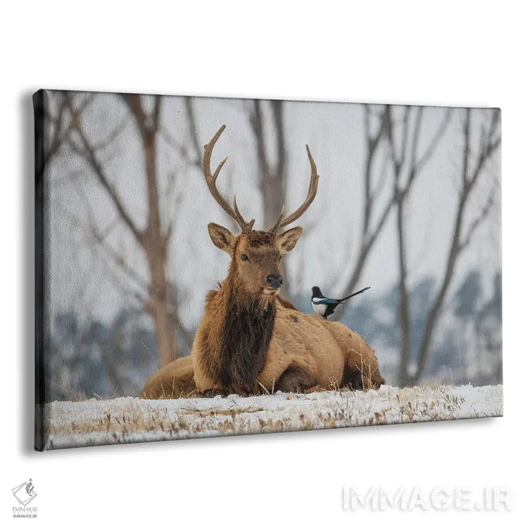 تابلو گوزن و زاغی اثر کریستوفر توماس - نمای پرسپکتیو محصول