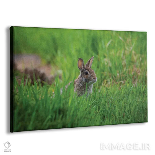 تابلو بهشت پوشیده از چمن اثر کریستوفر توماس - نمای پرسپکتیو محصول