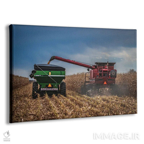 تابلو فصل برداشت اثر کریستوفر توماس - نمای پرسپکتیو محصول