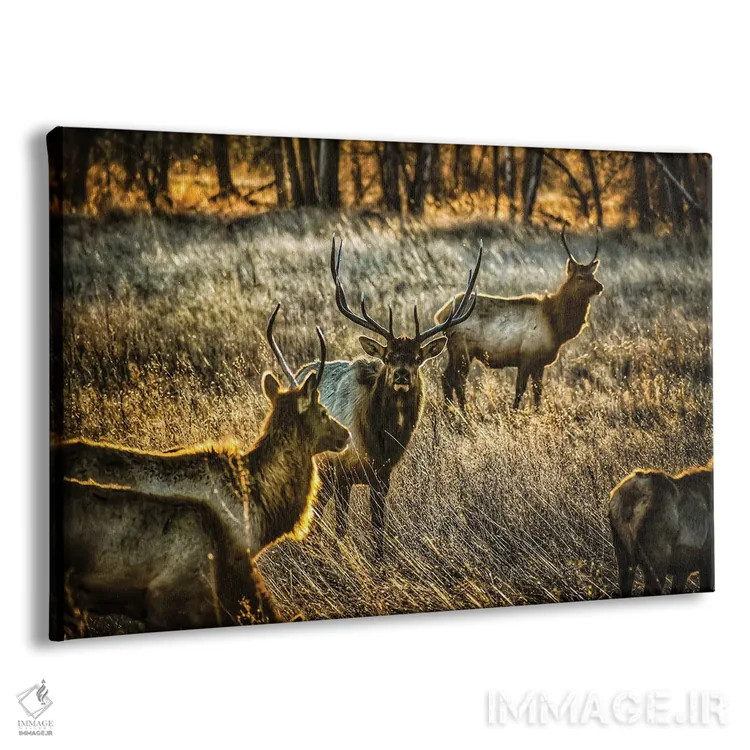 تابلو گله درخشان اثر کریستوفر توماس - نمای پرسپکتیو محصول