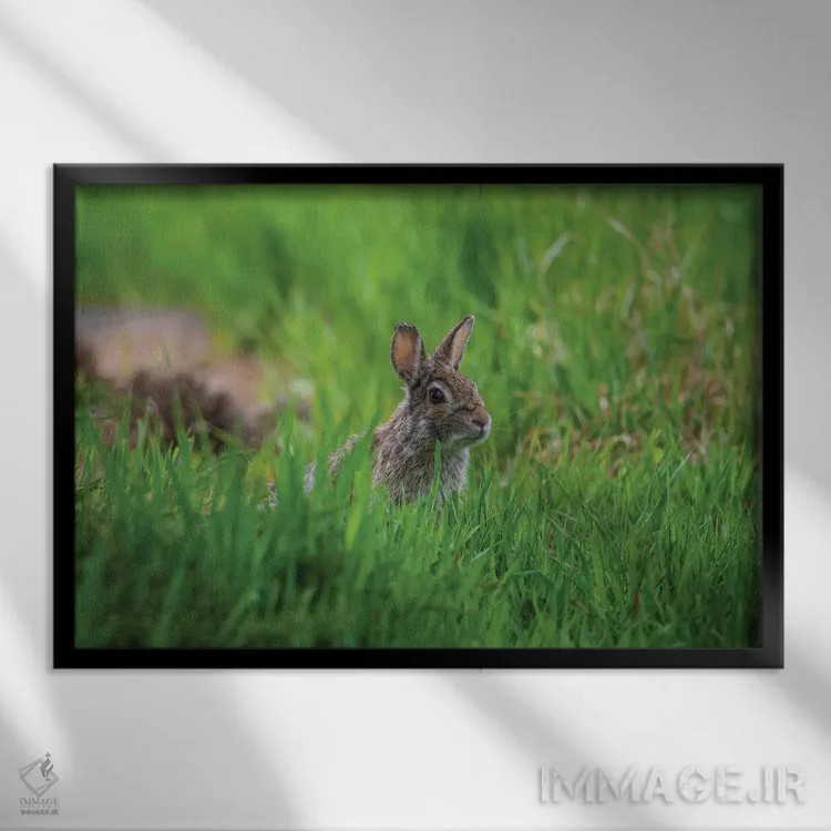 تابلو بهشت پوشیده از چمن اثر کریستوفر توماس - نمای قابدار مشکی