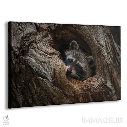 تابلو پنهان شده اثر کریستوفر توماس - نمای پرسپکتیو محصول