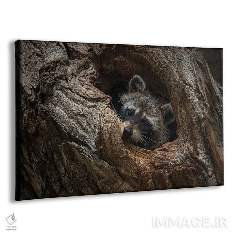 تابلو پنهان شده اثر کریستوفر توماس - نمای پرسپکتیو محصول