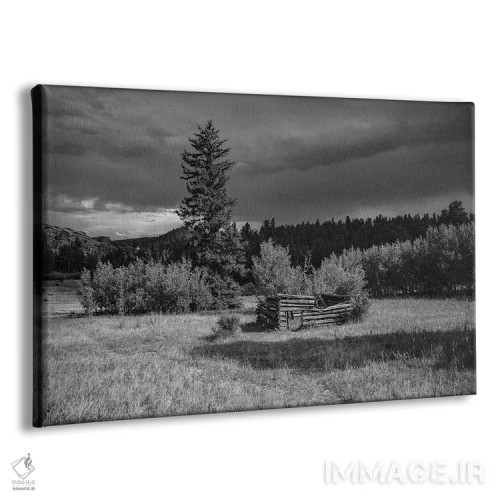 تابلو مزارع مزرعهٔ قدیمی (سیاه و سفید) اثر کریستوفر توماس - نمای پرسپکتیو محصول