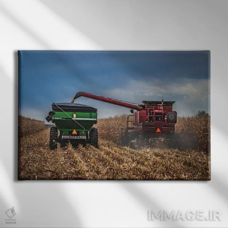 تابلو فصل برداشت اثر کریستوفر توماس - نمای روبهرو روی دیوار