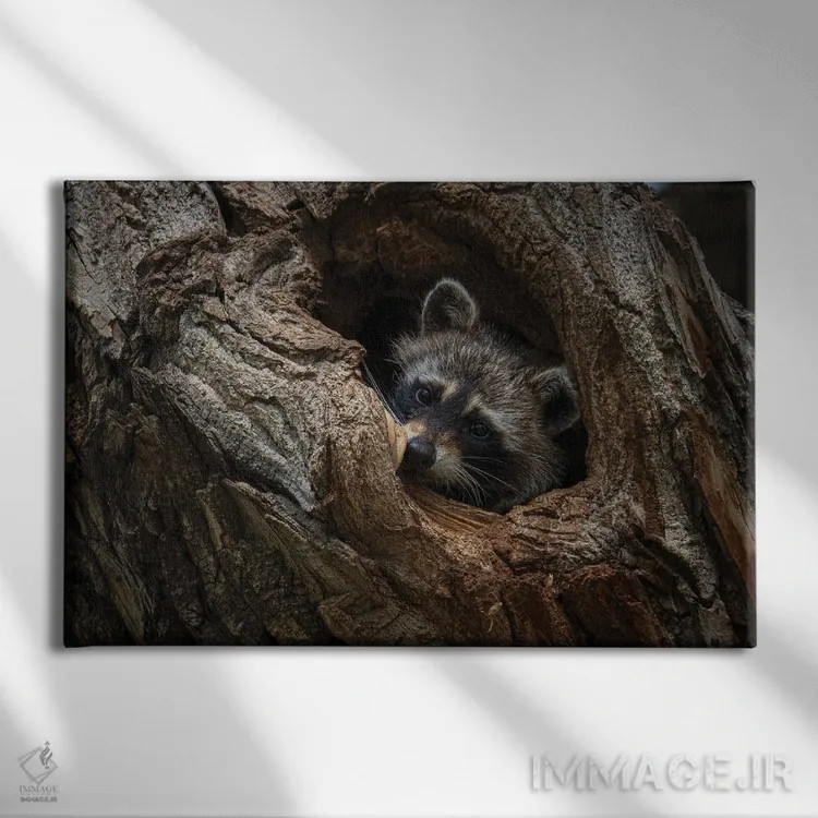 تابلو پنهان شده اثر کریستوفر توماس - نمای روبهرو روی دیوار