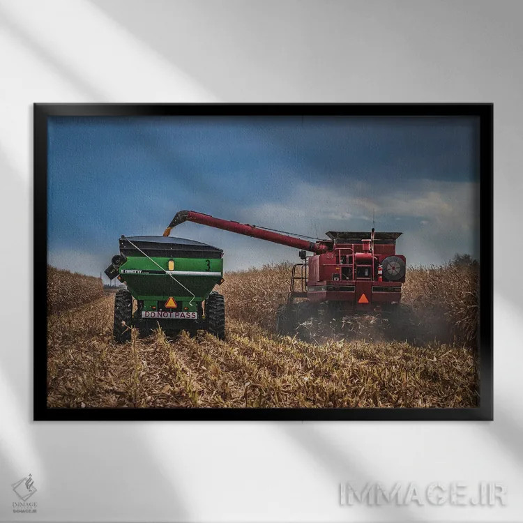 تابلو فصل برداشت اثر کریستوفر توماس - نمای قابدار مشکی