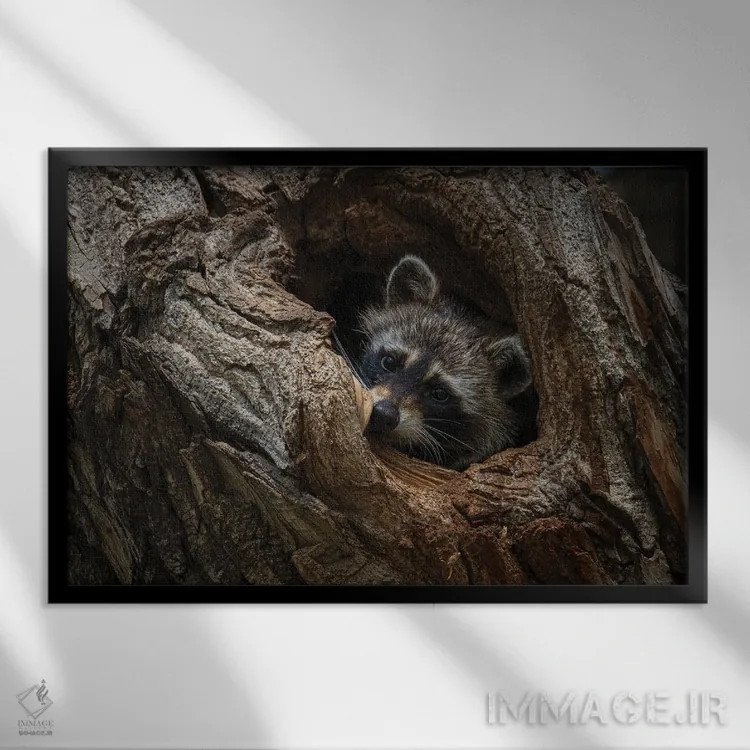 تابلو پنهان شده اثر کریستوفر توماس - نمای قابدار مشکی