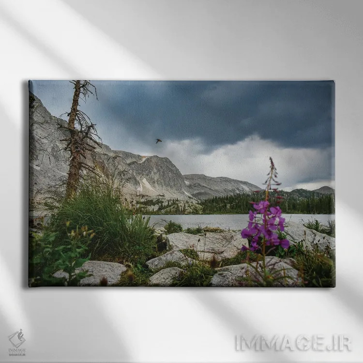 تابلو دریاچهٔ ماری در ماه اوت اثر کریستوفر توماس - نمای روبهرو روی دیوار