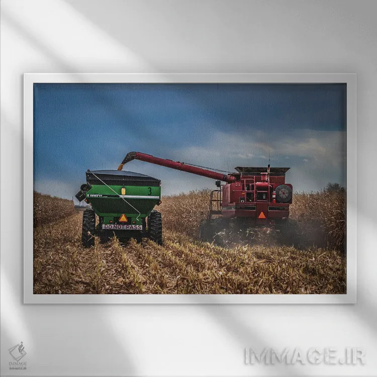 تابلو فصل برداشت اثر کریستوفر توماس - نمای قابدار سفید