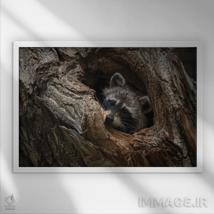 تابلو پنهان شده اثر کریستوفر توماس - نمای قابدار سفید