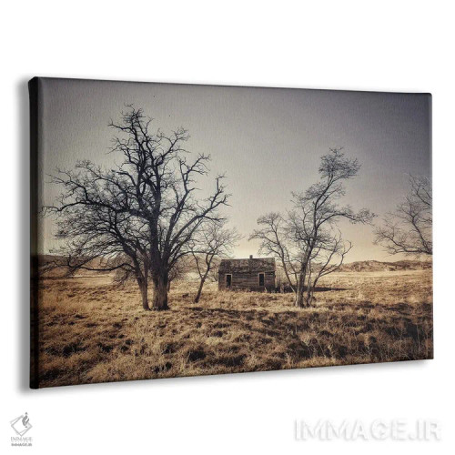 تابلو خانه کمرنگ کنار تپهها اثر کریستوفر توماس - نمای پرسپکتیو محصول