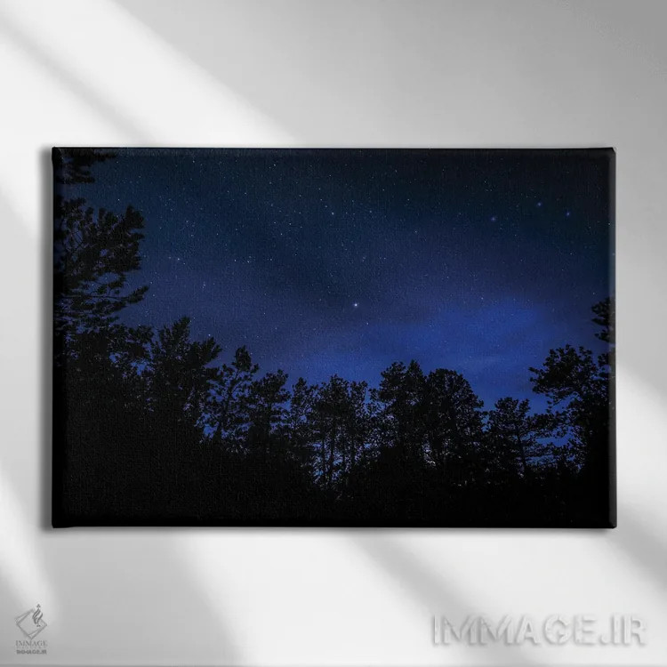 تابلو ستارگان پوندروزا (نام گونه درخت) اثر کریستوفر توماس - نمای روبهرو روی دیوار