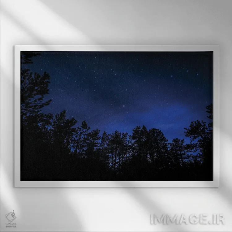 تابلو ستارگان پوندروزا (نام گونه درخت) اثر کریستوفر توماس - نمای قابدار سفید