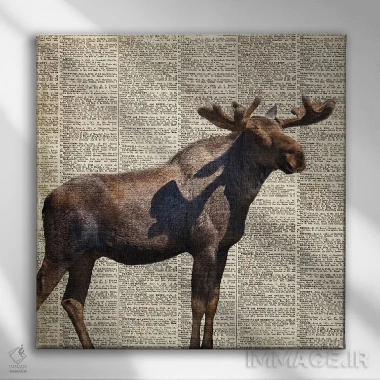 تابلو گوزن کوهی روستایی (۲) اثر آنا کوپل - نمای روبهرو روی دیوار