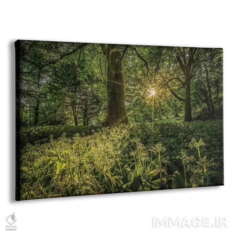 تابلو سیر وحشی در شورول اثر چاد پاول - نمای پرسپکتیو محصول