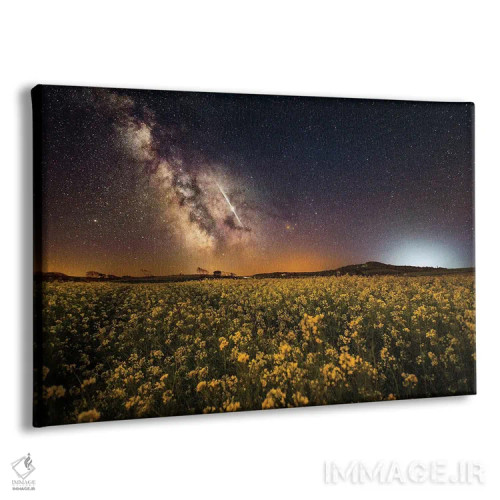 تابلو مزارع ماه مه اثر چاد پاول - نمای پرسپکتیو محصول