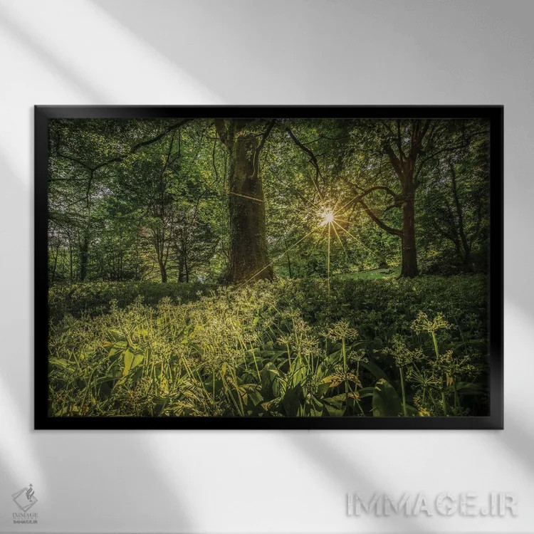 تابلو سیر وحشی در شورول اثر چاد پاول - نمای قابدار مشکی