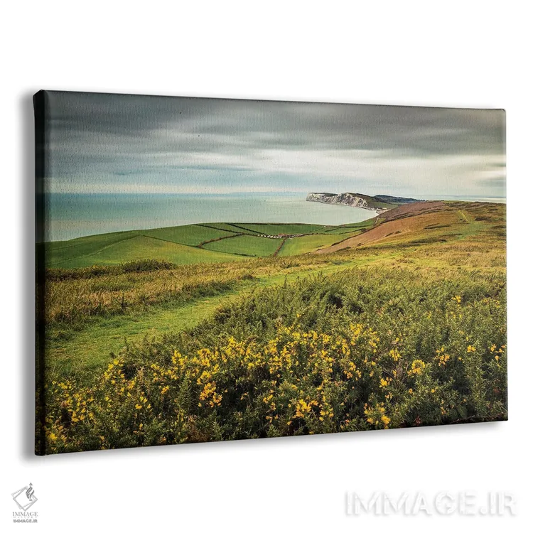 تابلو مسیر تنیسون اثر چاد پاول - نمای پرسپکتیو محصول