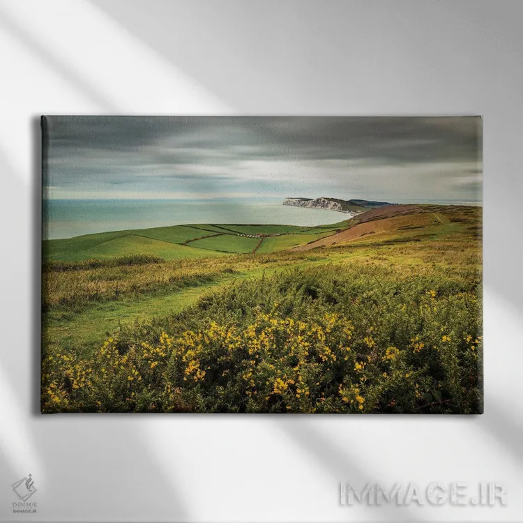 تابلو مسیر تنیسون اثر چاد پاول - نمای روبهرو روی دیوار