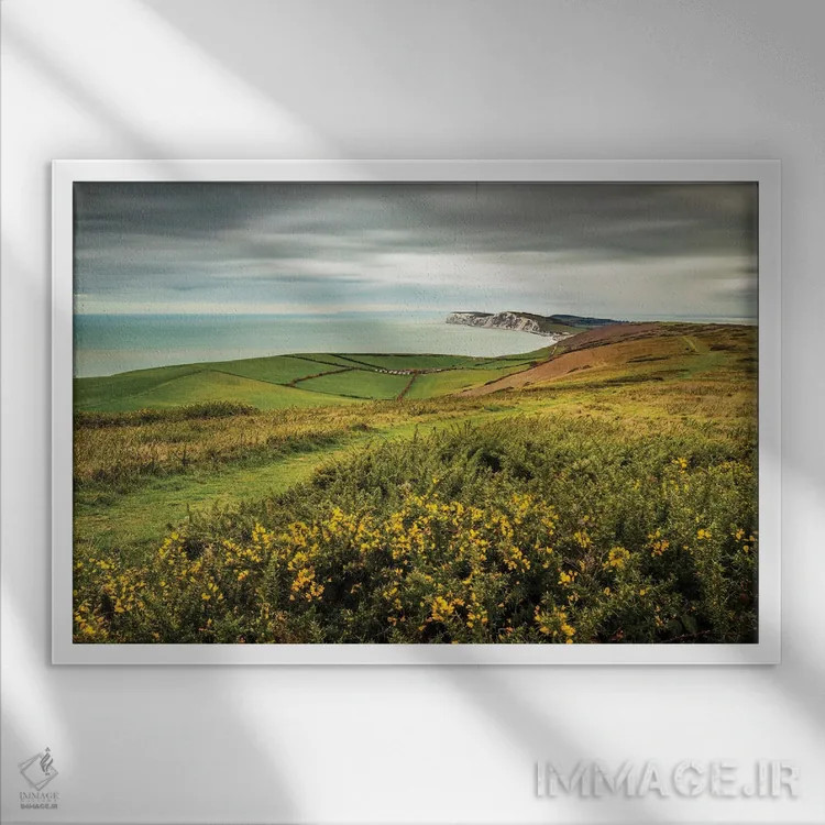 تابلو مسیر تنیسون اثر چاد پاول - نمای قابدار سفید